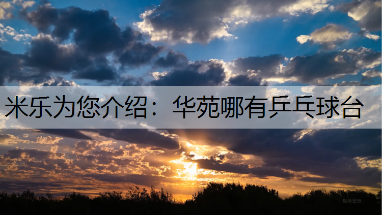 <strong>米乐为您介绍：华苑哪有乒乓球台</strong>