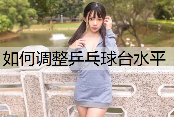 <strong>如何调整乒乓球台水平</strong>