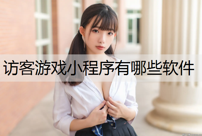 访客游戏小程序有哪些软件