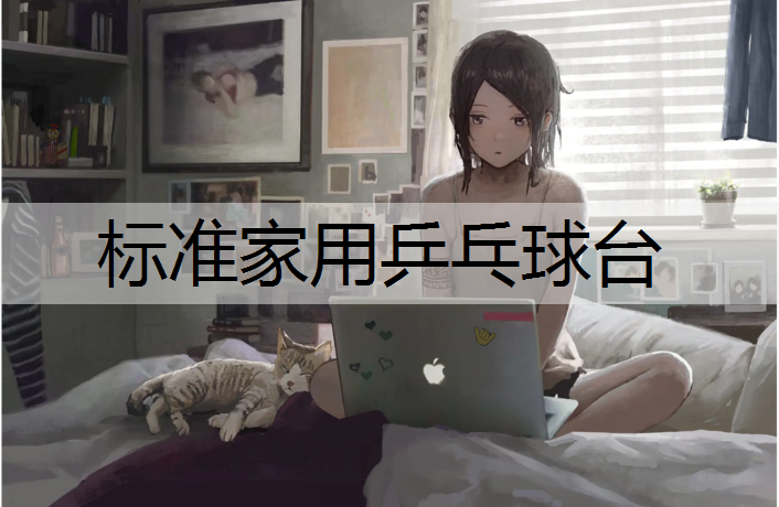<strong>标准家用乒乓球台</strong>