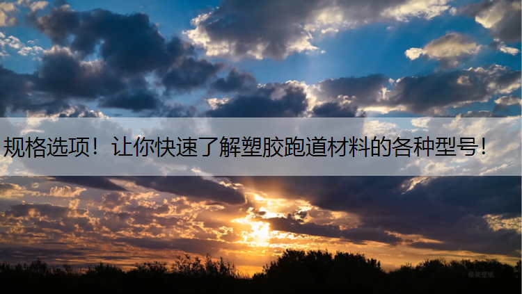 <strong>规格选项！让你快速了解塑胶跑道材料的各种型号！</strong>