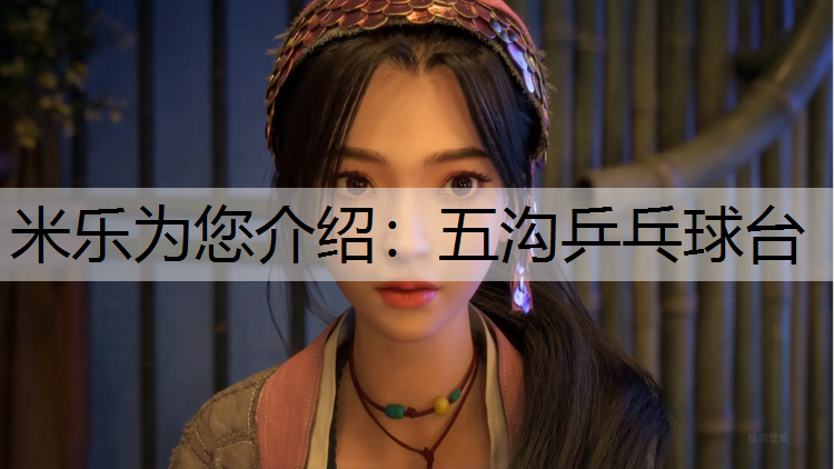米乐为您介绍：五沟乒乓球台