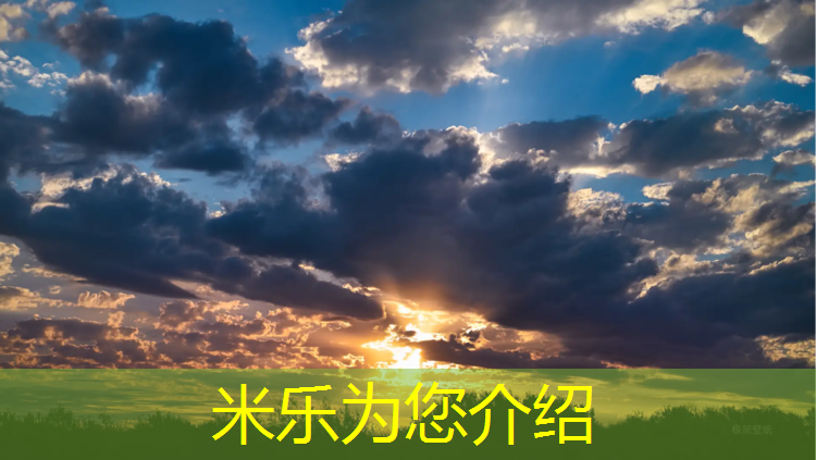 <strong>米乐：灰色粉色塑胶跑道图</strong>