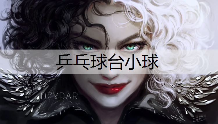 乒乓球台小球