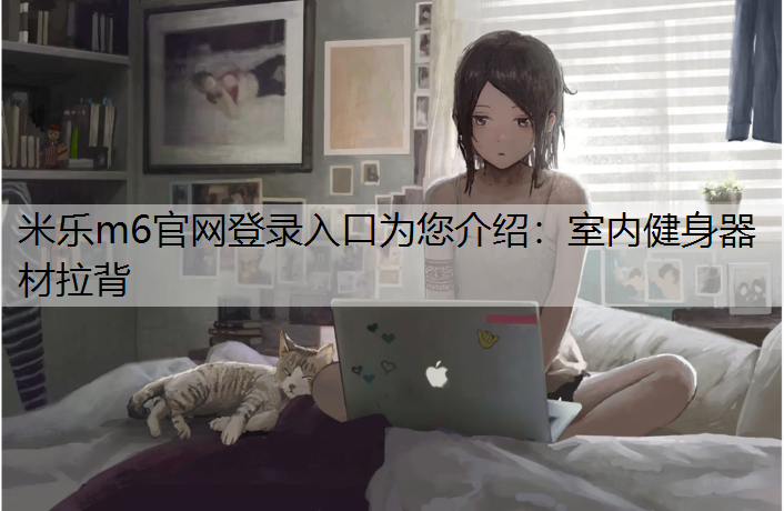 室内健身器材拉背