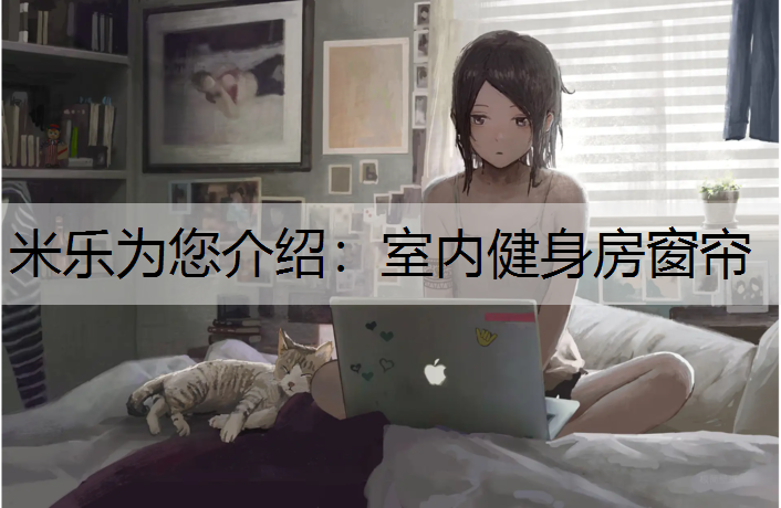 室内健身房窗帘