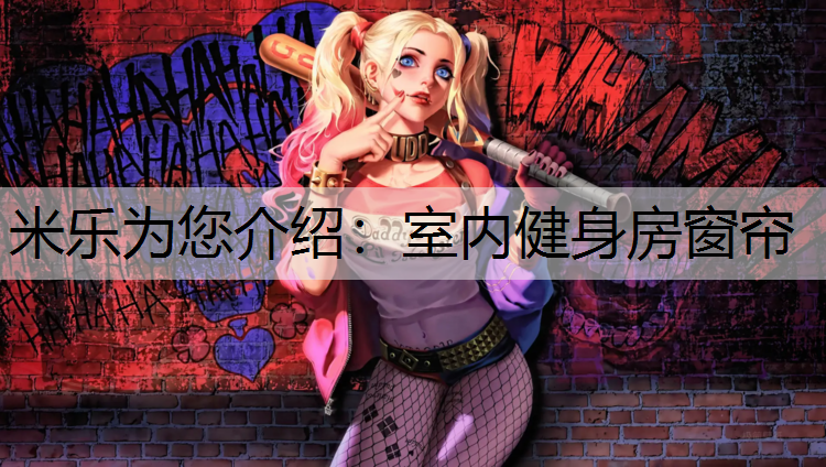 室内健身房窗帘