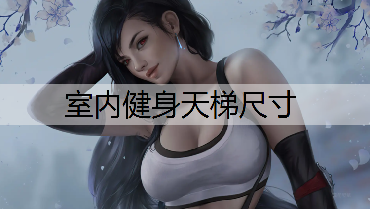 室内健身天梯尺寸
