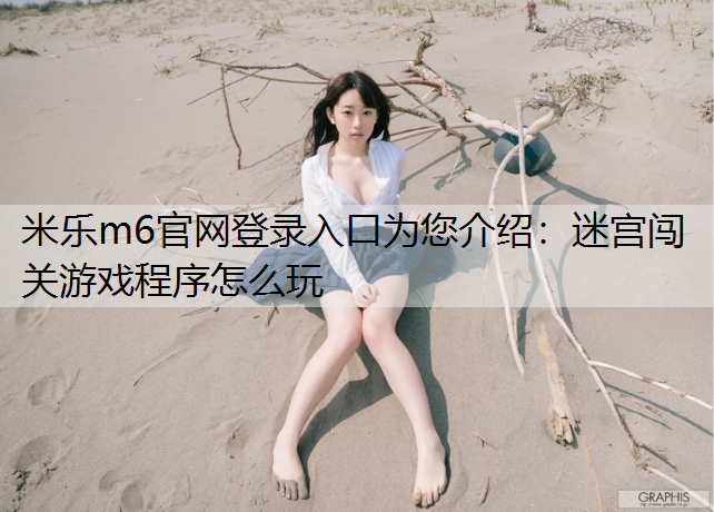 迷宫闯关游戏程序怎么玩