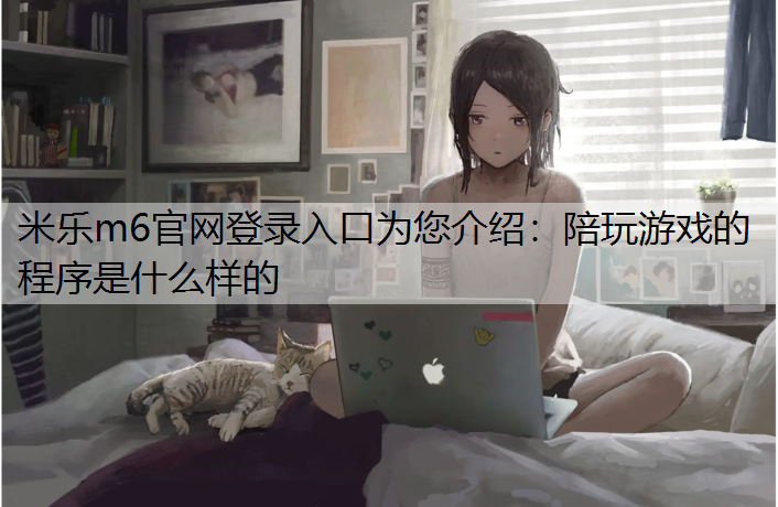 陪玩游戏的程序是什么样的