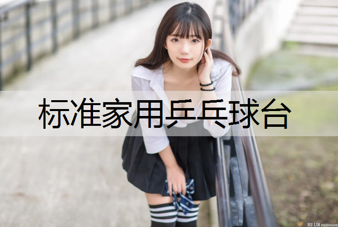 标准家用乒乓球台
