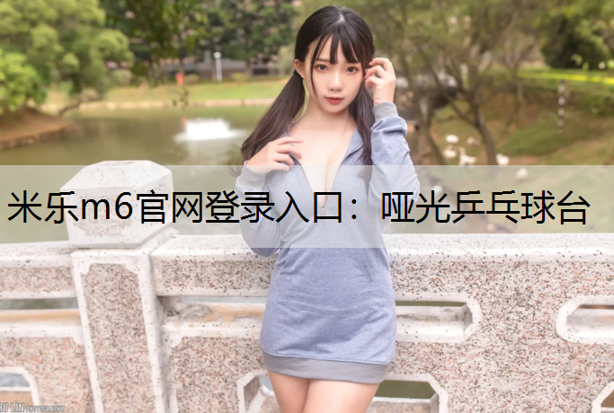 哑光乒乓球台